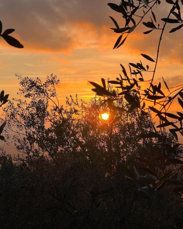 Poggio Alla Pieve Relais กาเลนซาโน ภายนอก รูปภาพ