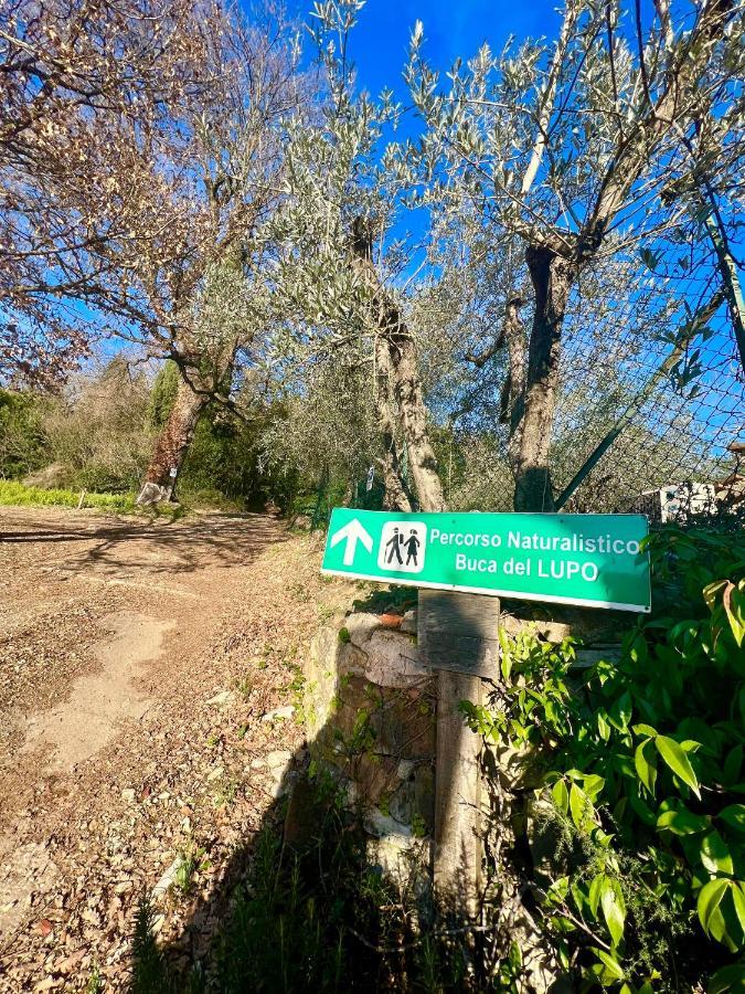 Poggio Alla Pieve Relais กาเลนซาโน ภายนอก รูปภาพ